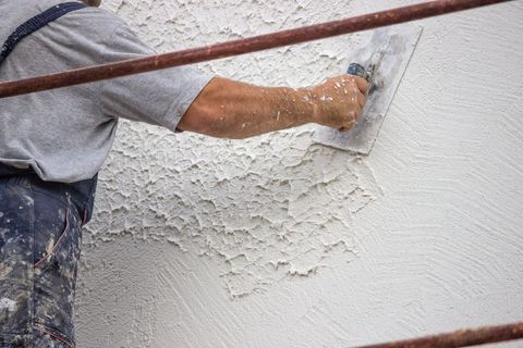 Schimmel entfernen – selbst machen oder Fachbetrieb?